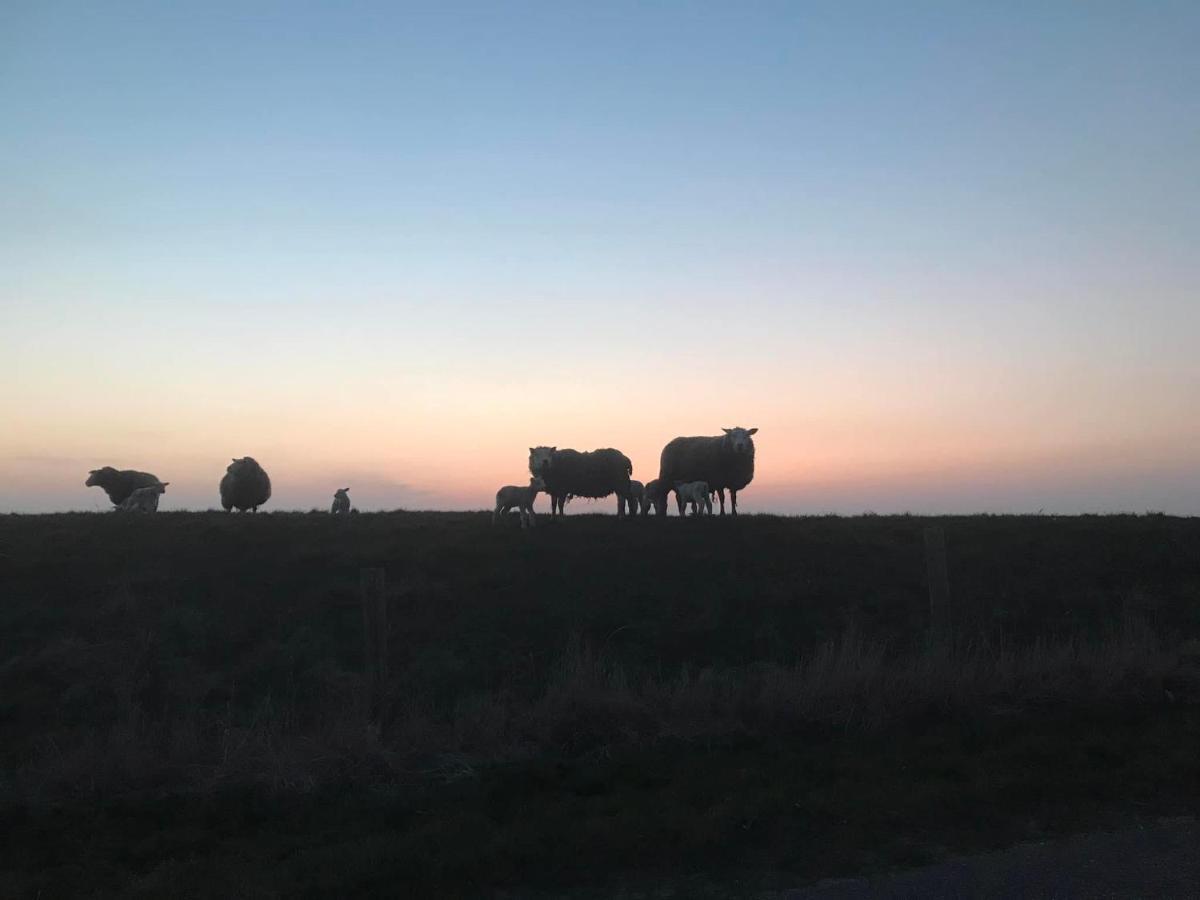 B&B De Oude Skuur Texel Oosterend  Dış mekan fotoğraf
