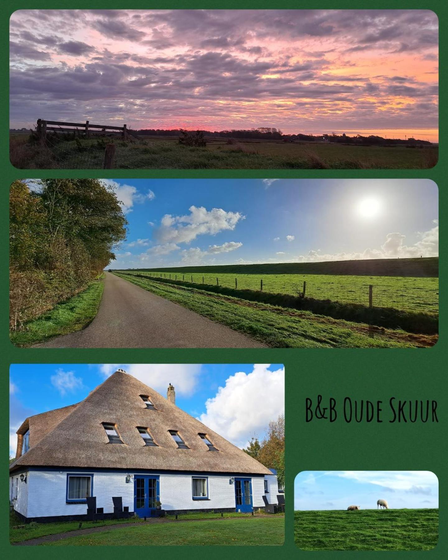 B&B De Oude Skuur Texel Oosterend  Dış mekan fotoğraf